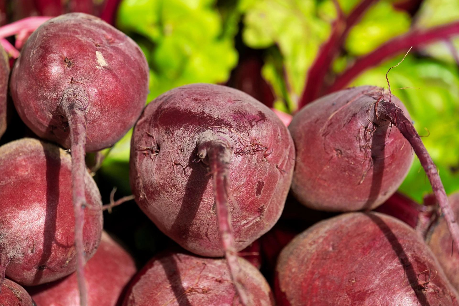 Fresh Vegetables